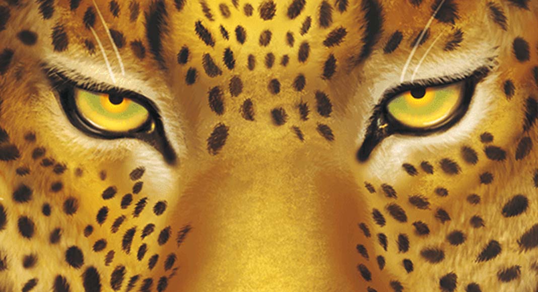 Detalle de la portada de Wild Serengeti